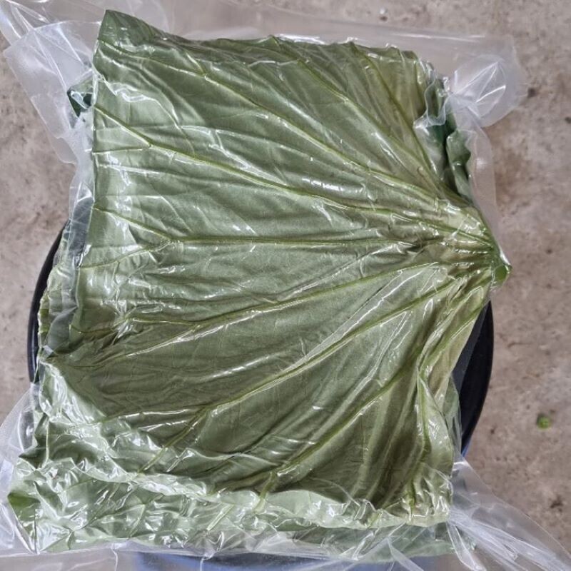연꽃농원,연꽃농원 친환경 무농약 연잎 1kg,  진공,냉동